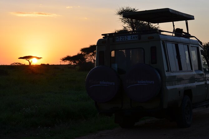 6 days Tanzania budget safari - Day 6 at Lake Manyara: flamingos, hippos, and tree-climbing lions