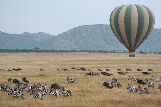 6 Days Tanzania Classic Safari - Why This 6-Day Northern Circuit Hits the Sweet Spot