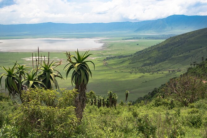 6 Days Tanzania Classic Safari - Serengeti National Park: Full-Day Game Drive Across Multiple Habitats