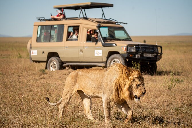 7-Day Premium Luxury Tanzania Safari All-Inclusive - Key points to know before you go