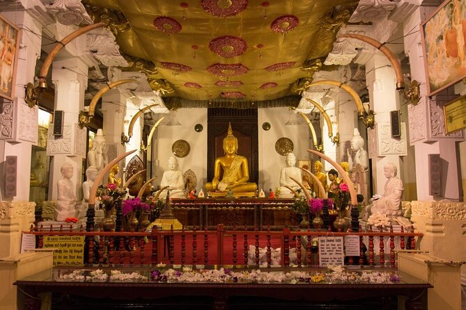 7 Days and 6 Nights Sri Lanka Private Safari Tour - Key highlights worth caring about