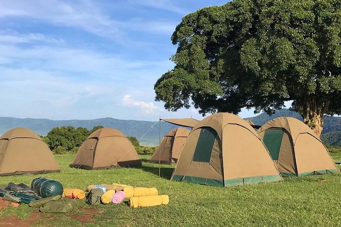 7 days great migration safari - Days 2–3 in Northern Serengeti near Kleins Gate