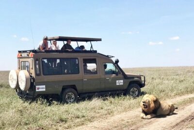 8 Day Spectacular Migration Serengeti mid -Range Tanzania Safari - Tarangire National Park on Day 2: Elephants by the River