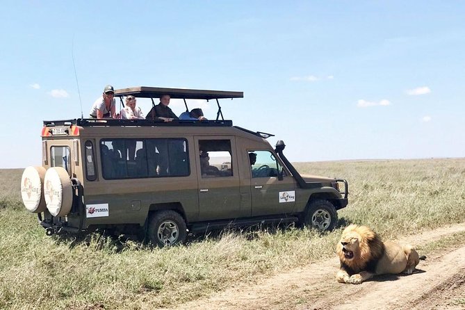 8 Day Spectacular Migration Serengeti mid -Range Tanzania Safari - Tarangire National Park on Day 2: Elephants by the River