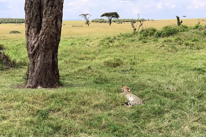 8 Days Great Wildebeest Calving Migration Safari from Arusha - Lake Manyara’s Compact Circuit: Great Views, Many Species