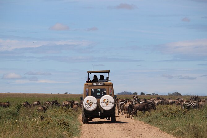 9-Day Serengeti Migration Footsteps Tanzania Safari - Ngorongoro Crater Day: Big-Five Viewing in an Unfenced World