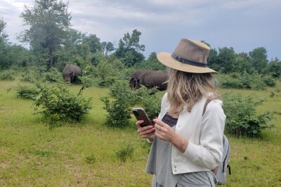 A Game Drive Plus White Rhino Short Walk - The 3-hour schedule: game drive first, then the rhino short walk