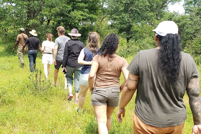A Game Drive Plus White Rhino Short Walk - The walking safari with white rhinos: the “closest range” moment