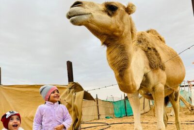 Abu Dhabi: 4x4 Desert Safari and Sandboarding. - The 4x4 Dune Bashing Run: Fast, Dusty, and Fun