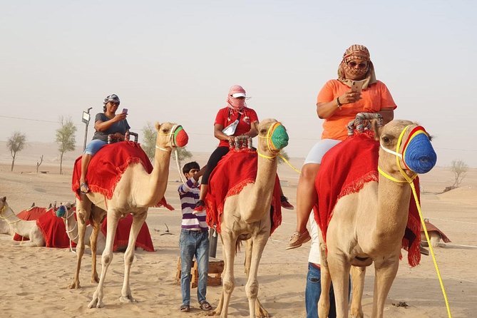 Abu Dhabi city tour & desert safari from Dubai - Qasr Al Watan: palace energy without the pressure