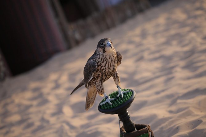 Abu Dhabi Desert Safari (Dune Bashing, BBQ Dinner, Camel Ride & Sand Skii) - Getting From Pickup to the Dunes: Shared Land Cruiser Reality