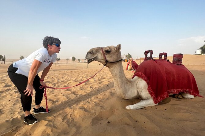 Abu Dhabi Desert Safari Tour with Shows & Buffet Dinner - Hotel Pickup and the Drive Out: What to Expect