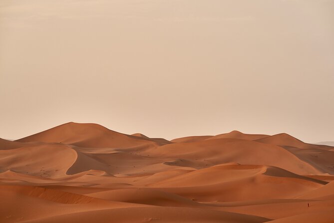 Abu Dhabi Desert Safari Tour with Shows & Buffet Dinner - Dinner Time: A 10+ Course BBQ Buffet With Vegetarian Options