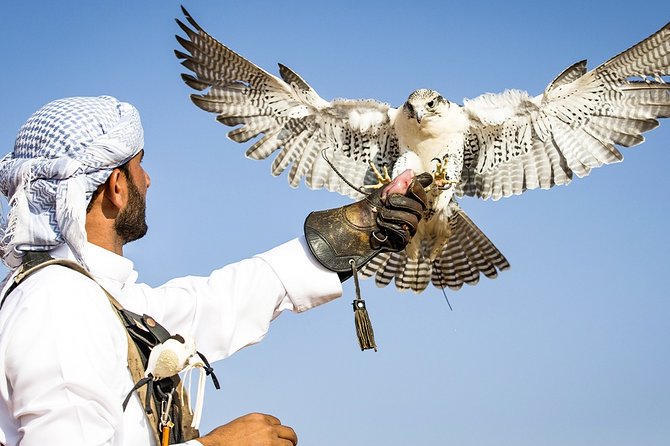 Abu Dhabi: Desert Safari with BBQ, Camel Ride & Sandboarding - Camel farm first, short camel ride later
