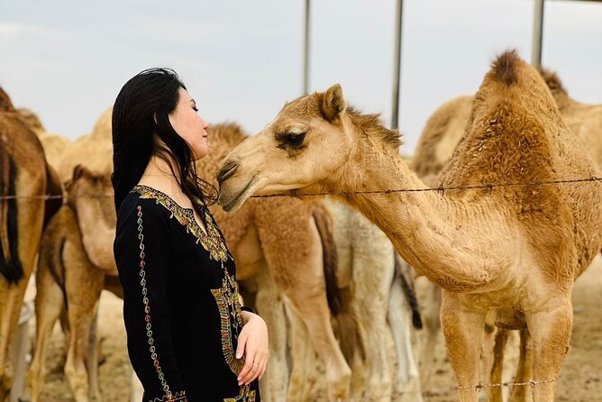 Abu Dhabi Desert Safari With BBQ Dinner & Live Shows - Price and logistics: when $60 feels like a deal