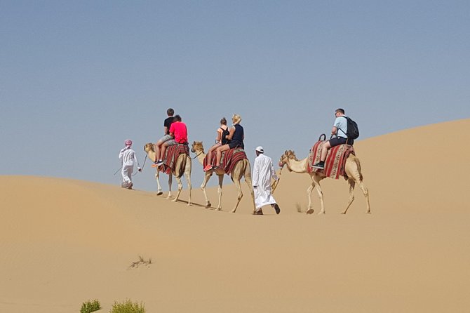 Abu Dhabi Desert safari with BBQ Dinner,Sandboarding & Camel ride - Land Cruiser Comfort Before the Sand Gets Real
