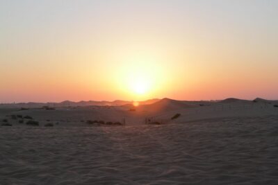 Abu Dhabi Desert Safari with BBQ Dinner & Shows - Camel rides, sandboarding, and the desert “playground” feeling