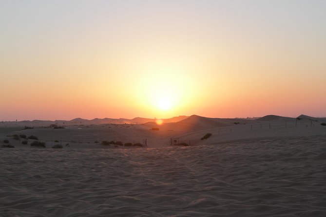 Abu Dhabi Desert Safari with BBQ Dinner & Shows - Camel rides, sandboarding, and the desert “playground” feeling