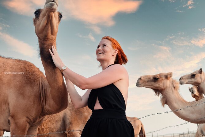 Abu Dhabi Evening Desert Safari BBQ, Camel Ride, Entertainments - Falcon photo and dressing up in local attire