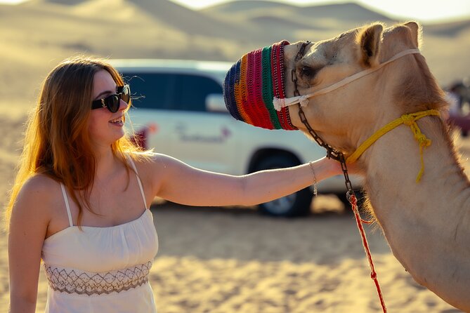 Abu Dhabi Evening Desert Safari - Dune bashing Camel ride and BBQ - The 4x4 Dune Bashing Part: Where the Evening Gets Real
