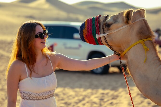 Abu Dhabi Evening Desert Safari - Private car Dune bashing & BBQ - Who this private Abu Dhabi evening safari fits best