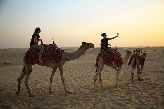 Abu Dhabi Half Day Desert Safari - Who should book this Abu Dhabi desert safari (and who should reconsider)