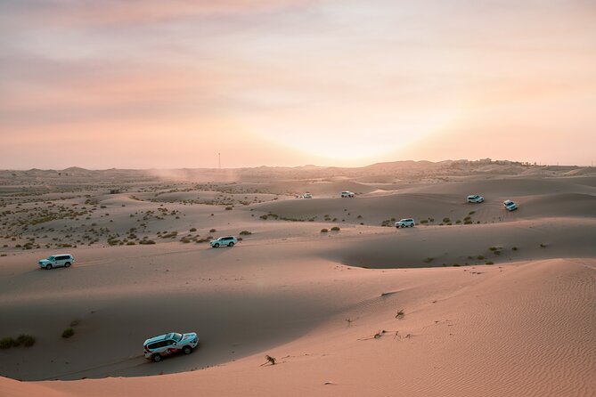 Abu Dhabi Morning Desert Safari: 4x4 Dune Bashing, Camel Ride and Sandboarding - Key Points to Know Before You Go