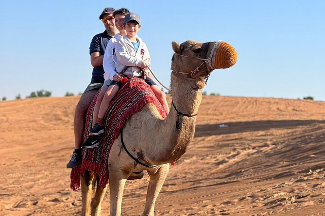 Abu Dhabi morning desert safari - Private car - A quick morning safari that fits Abu Dhabi timing