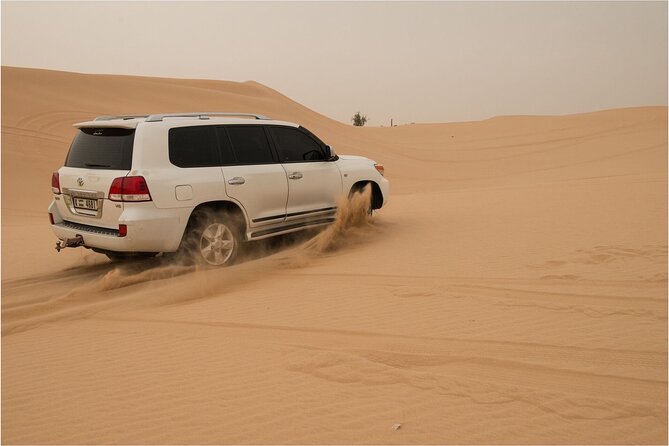 Abu Dhabi morning desert safari - Private car - Al Khatim dune bashing: tyre deflation, speed, and control