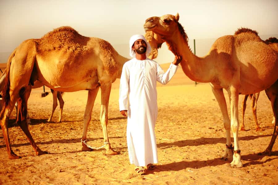 Abu Dhabi: Overnight Desert Safari - 4x4 dune bashing in the land cruiser: the thrill and the safety reality check