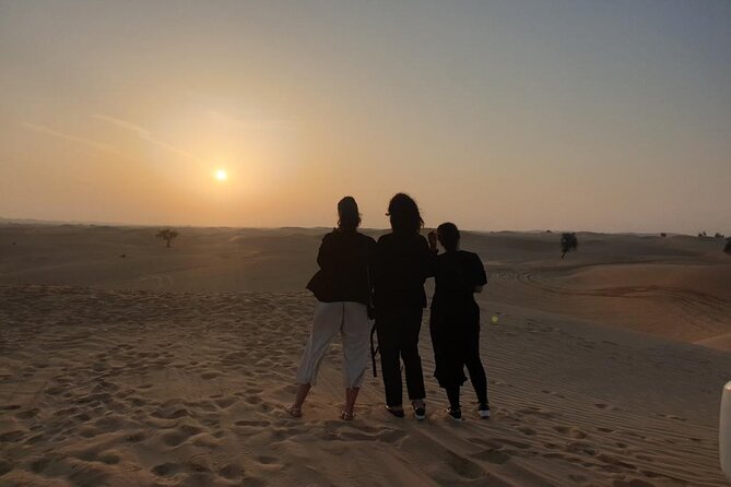 Abu Dhabi: Sunrise Desert Safari Experience - Who this sunrise desert safari suits best