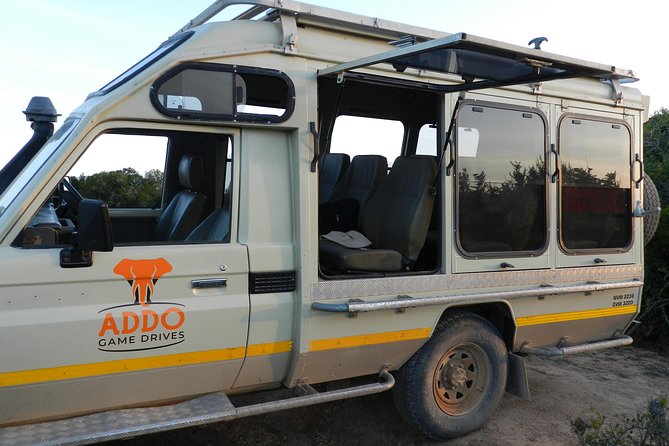 Addo Elephant 5 hour Morning Safari. - The 5-hour route: when elephants and other sightings tend to happen