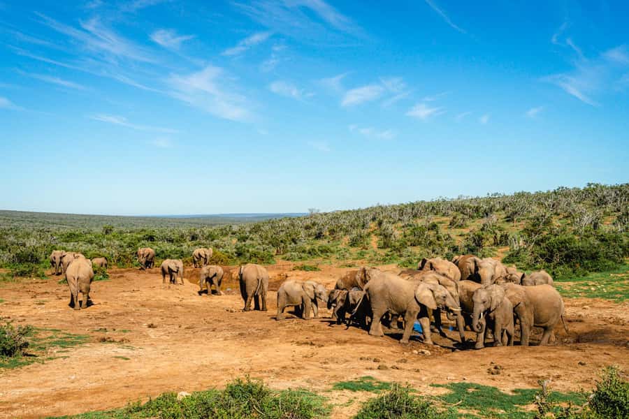 Addo Elephant National Park Full Day Safari with Braai Lunch - Entering Addo from the south gate and getting your bearings fast