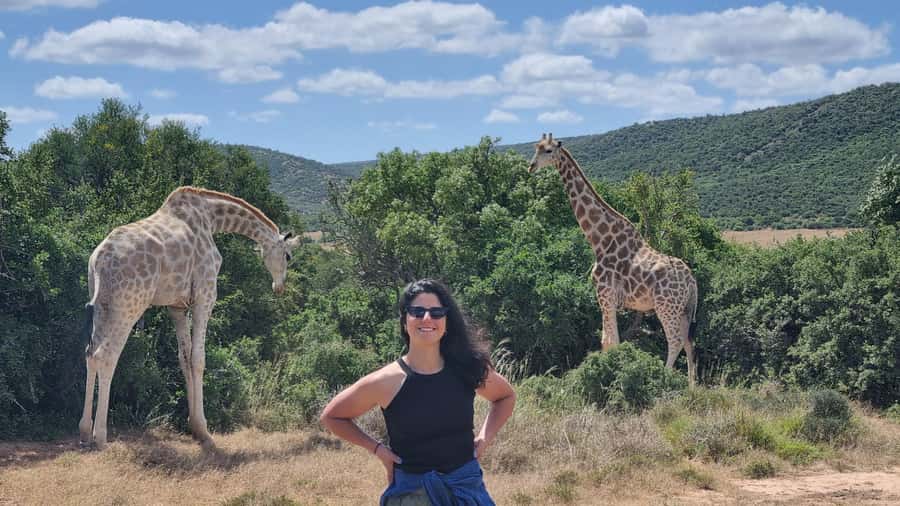 Addo Elephant Park and Giraffe Walk Full Day Safari - The guide matters: experts who actually manage your sightings