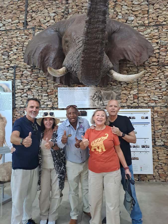 Addo Elephant Park:Safari Tour meet Big 5 to be satisfied - Wildlife searching before lunch: what to watch for