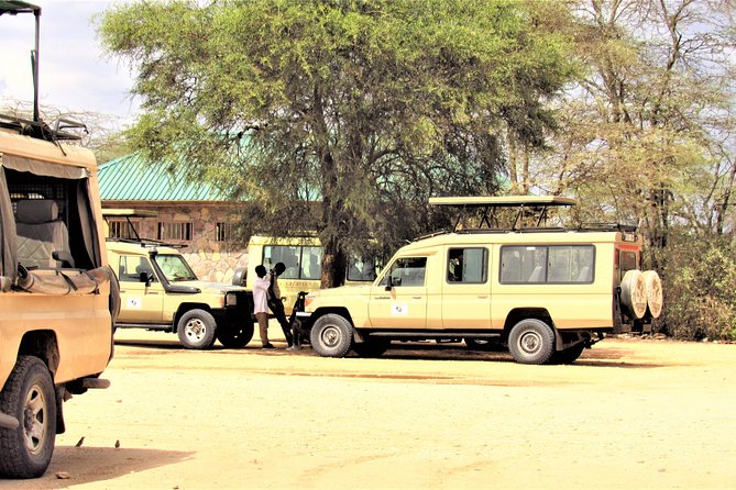 Adventure-fueled 3 Days Maasai Mara Safari - Day 2: Full-Day Safari Drives with Picnic Lunch Inside the Park