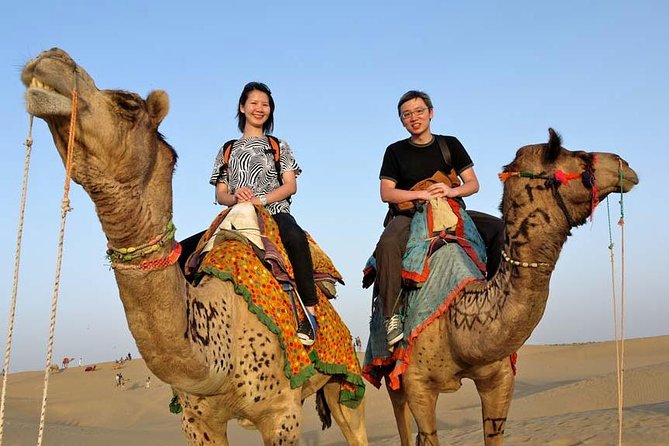 Adventure non touristic camel safari - Key Points Worth Knowing