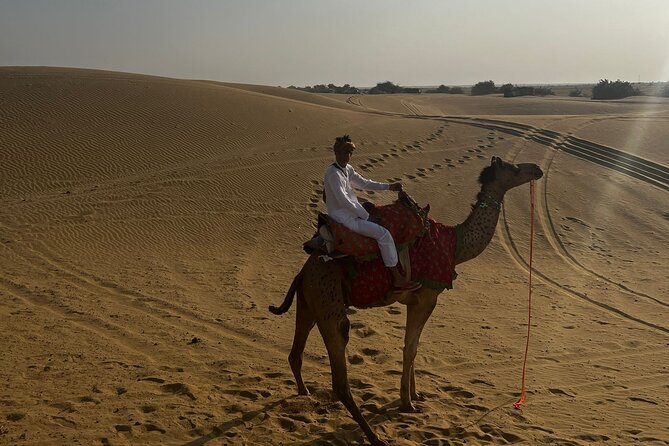 Adventure non touristic camel safari - Next Morning Before Dawn: Sunrise, Breakfast, and the Return Ride