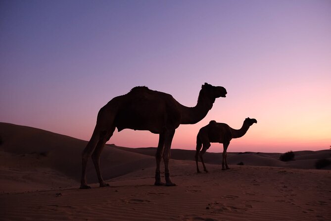 Adventure non touristic camel safari - Kuldhara: An Abandoned Village Stop That Sets the Mood