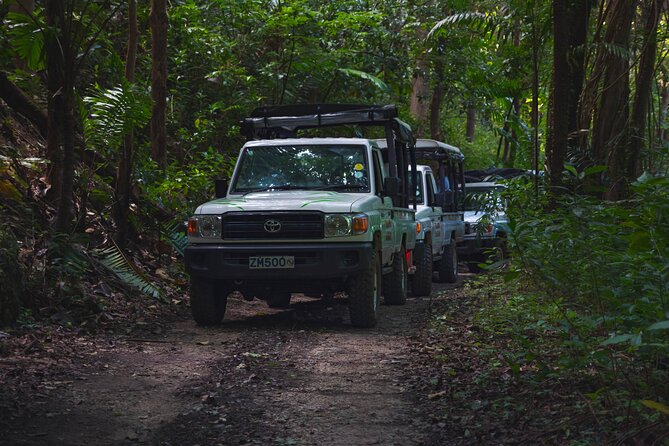 Adventure Safari - What this Adventure Safari delivers in 5 hours 30 minutes
