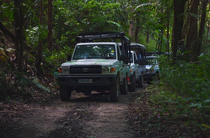 Adventure Safari - The off-road ride reality: bumpy is part of the deal