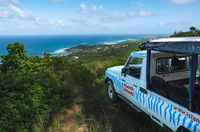 Adventure Safari - How the guide shapes the day (and why it’s a big deal)