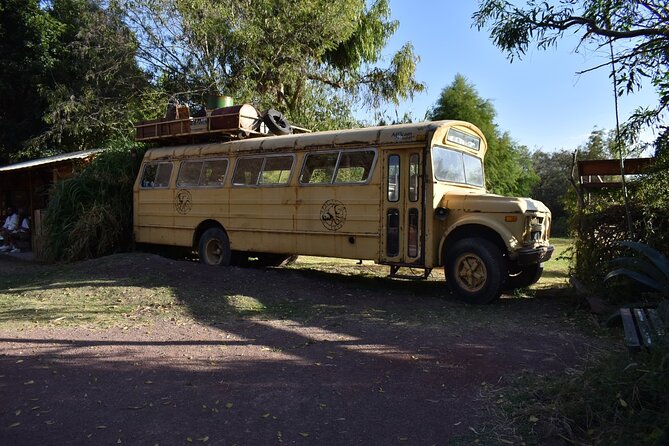 Africam safari (private tour) - Comfort and timing: A/C vehicle, bottled water, and the real pace