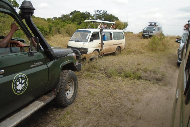 African Wildlife & Nature - 5 Kenya national parks - 6 day Jeep Safari - Tsavo West rhino sanctuary and volcanic views from Nairobi