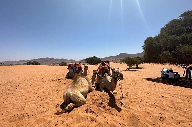 Agadir Jeep Safari Sahara Desert 4x4 Day Tour with Lunch - Youssef Ben Tachfine Dam: the wide-view payoff