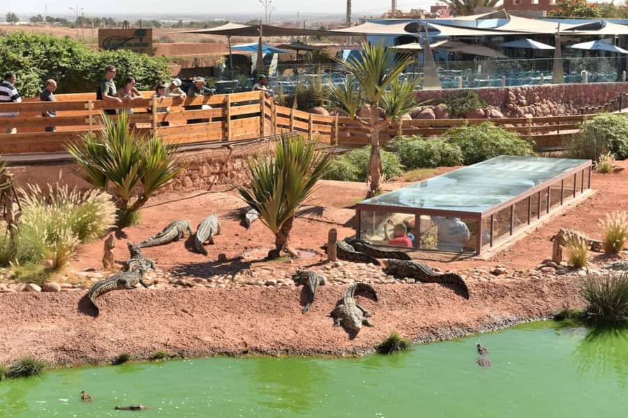 Agadir: Quad Safari with Crocoparc Optional - Should you book Amodoucheval’s Agadir quad safari with Crocoparc?