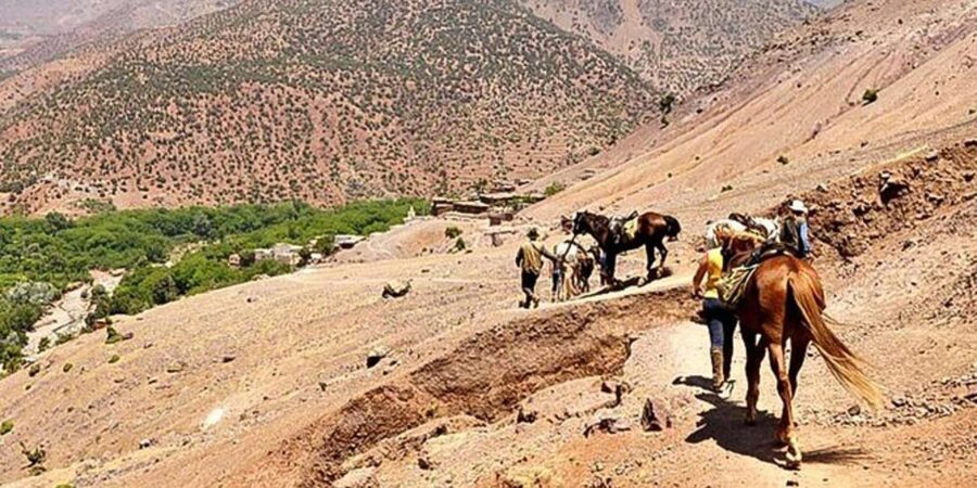 Agadir: Quad Safari with Crocoparc Optional - Guides, group size, and safety: how this tour stays friendly