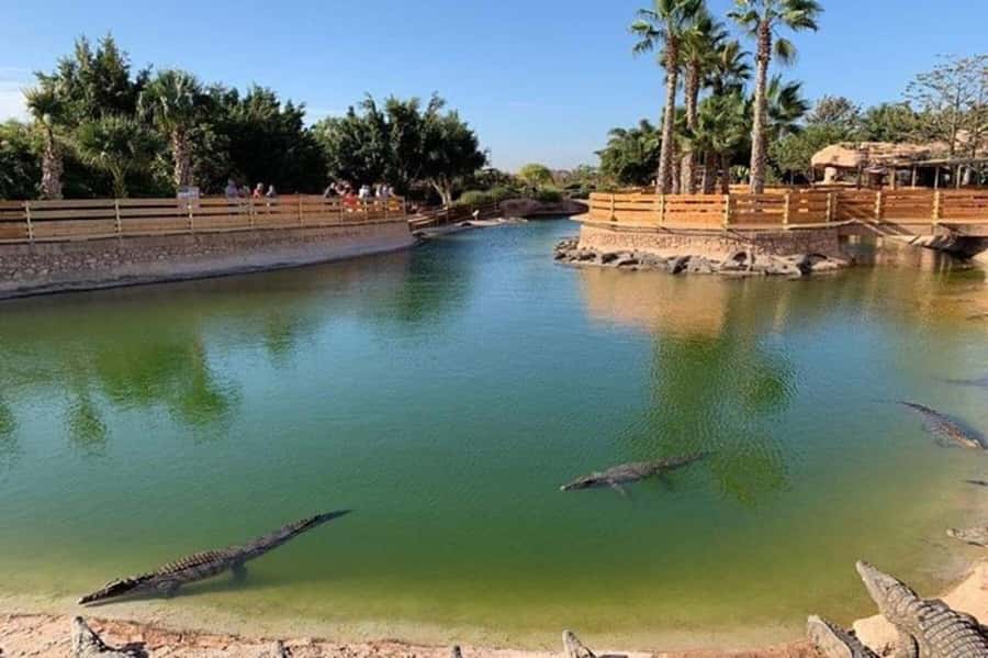 Agadir: Quad Safari with Crocoparc Optional - What to wear and bring so you don’t hate your photos later