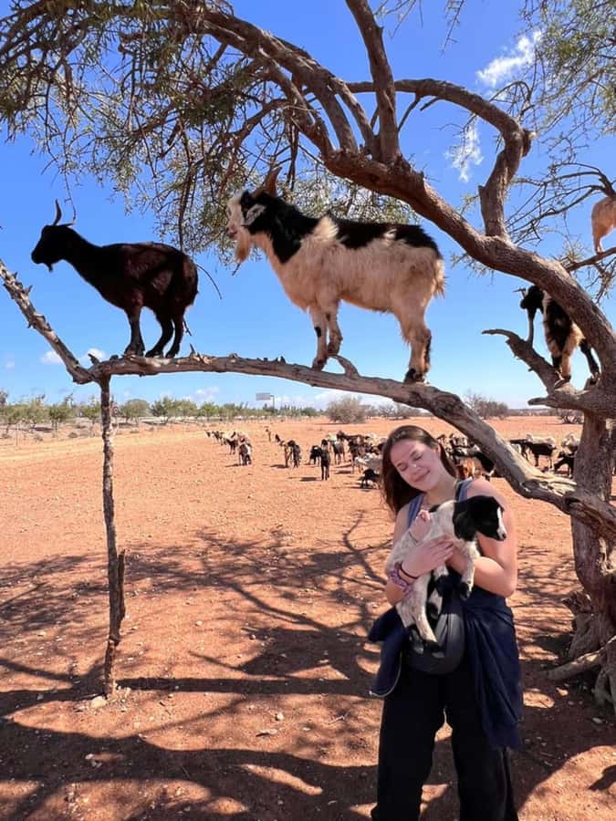 Agadir: Quad Safari with Crocoparc Optional - Price and value: is $29 really fair for this mix?