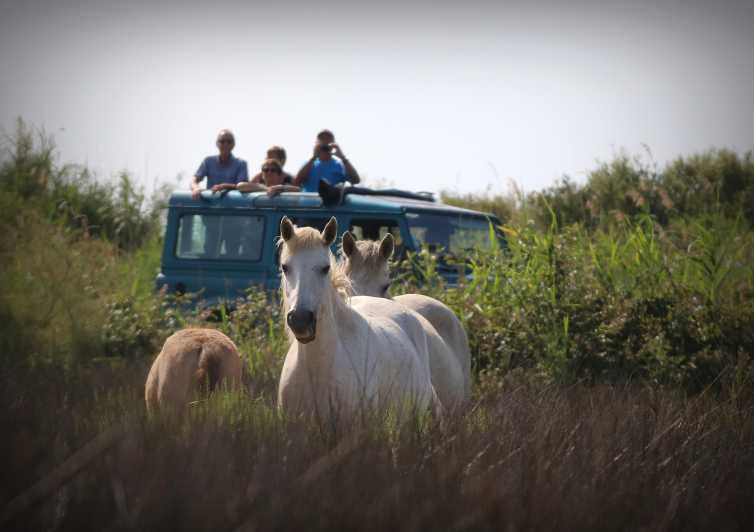 Aigues Mortes: Jeep Photo Safari in Camargue - First, the Setting: Camargue by 4x4, With a Photo Focus